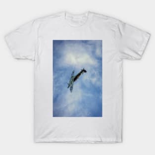 Freedom of the Skies T-Shirt